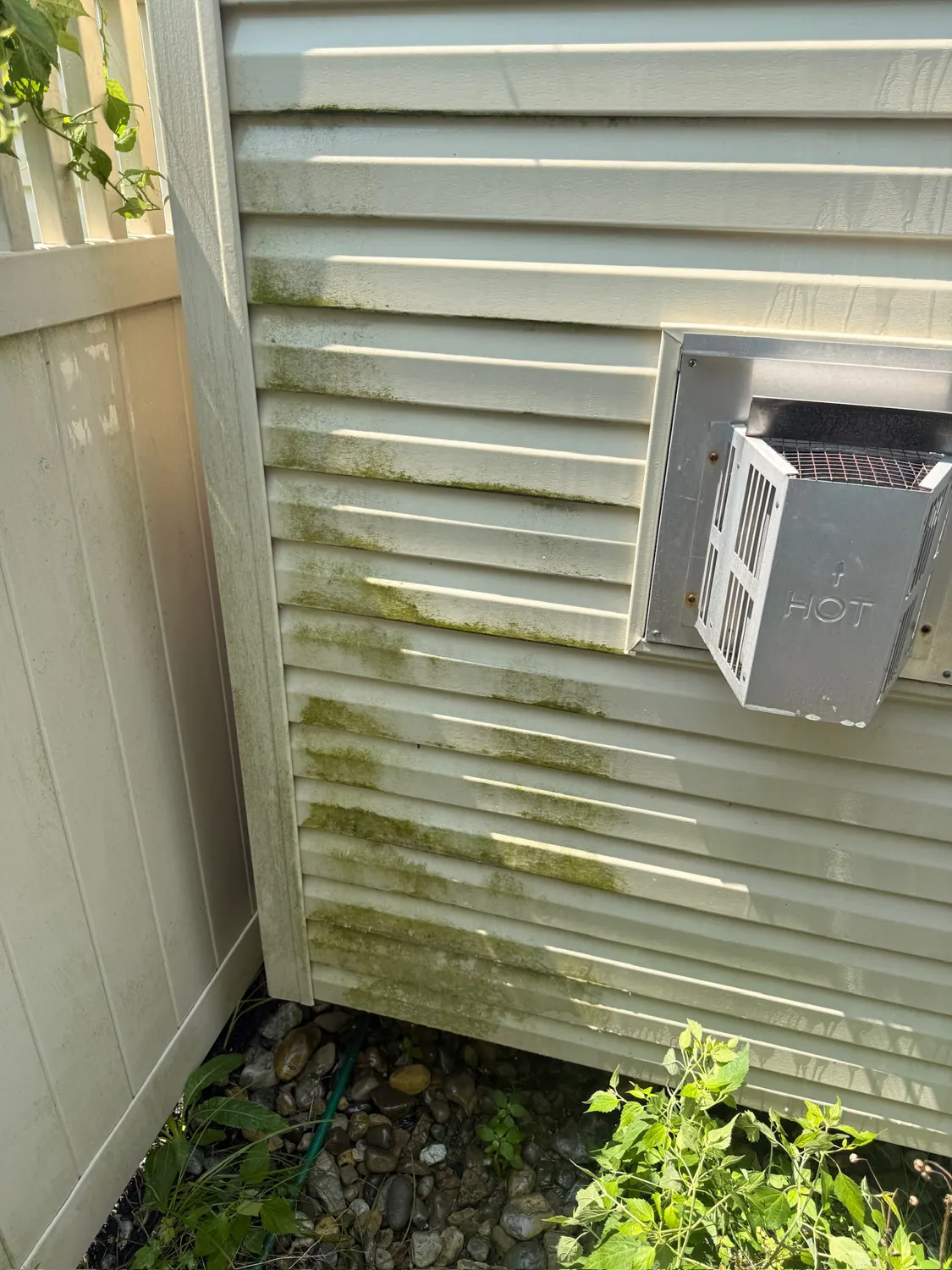 Vinyl siding with green algae before washing
